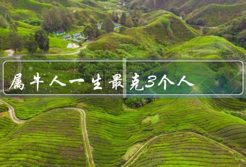 属牛人一生最克3个人，属羊人／属猴人／属虎人