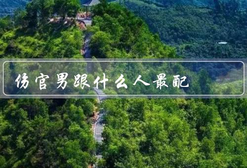 伤官男跟什么人最配（正财星的女性、偏财星的女性、正官星的女性）