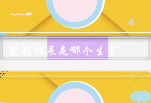 花枝招展是哪个生肖，机智灵活／多才多艺／善于交际