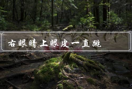 右眼睛上眼皮一直跳（眼睛疲劳／缺乏睡眠／压力和焦虑）