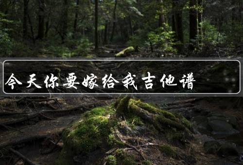 今天你要嫁给我吉他谱，基础乐理知识／吉他谱的学习方法