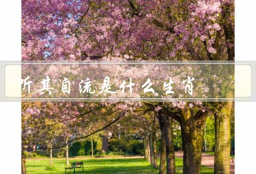 听其自流是什么生肖，特点／代表生肖／启示