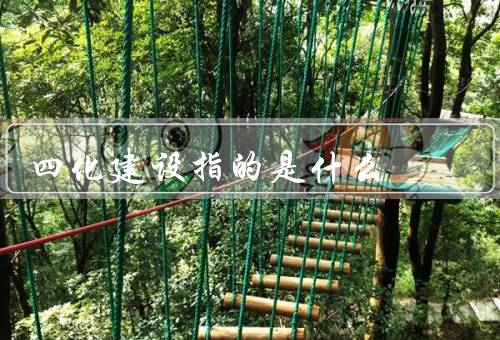 四化建设指的是什么（经济建设／政治建设／文化建设）