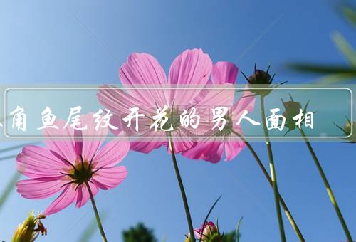 眼角鱼尾纹开花的男人面相，意义／个性特点／男人的事业和爱情