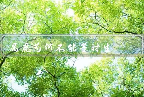 属虎为何不能子时生，人／子时特殊属性／化解方法