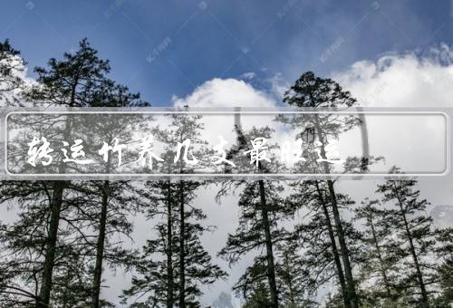 转运竹养几支最旺运，选择健康的竹子／养护转运竹／摆放转运竹