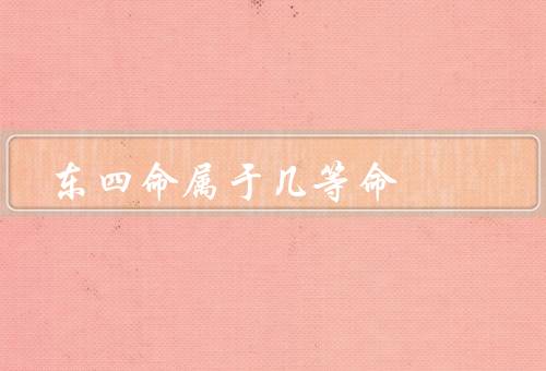 东四命属于几等命（特点／生肖组合／发展方向）