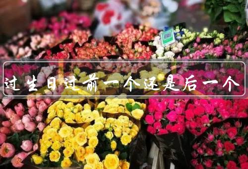 闰月过生日过前一个还是后一个，儿童生日、成年人生日、个人喜好