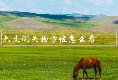 六爻测失物方位怎么看（六爻测失物方位）
