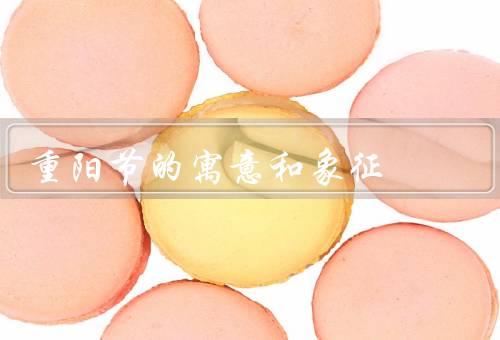 重阳节的寓意和象征，寓意／象征／总结