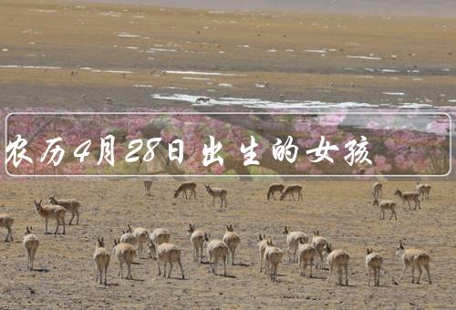 农历4月28日出生的女孩，聪明才智／坚毅意志／乐观向上