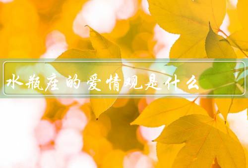水瓶座的爱情观是什么（理性而自由、友谊与爱情的交融、追求新颖）