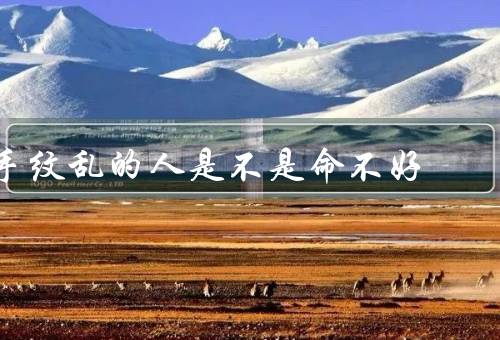 手纹乱的人是不是命不好，形成／遗传／命运