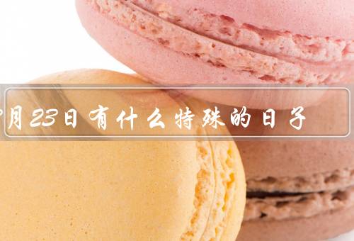 3月23日有什么特殊的日子，世界气象日、国际象棋日