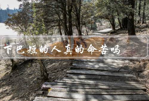 下巴短的人真的命苦吗（下巴短的人也有优势）