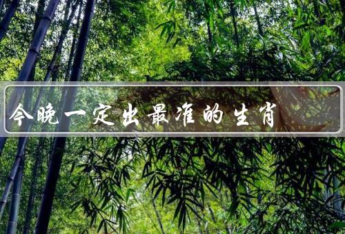 今晚一定出最准的生肖，老鼠、龙、兔