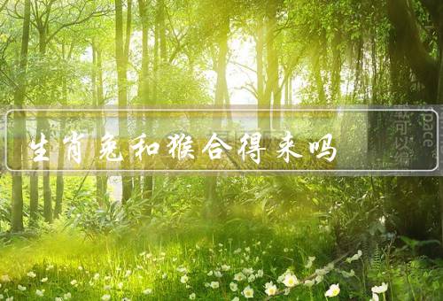 生肖兔和猴合得来吗，性格特点／在生活中的互补／在合作中的优势