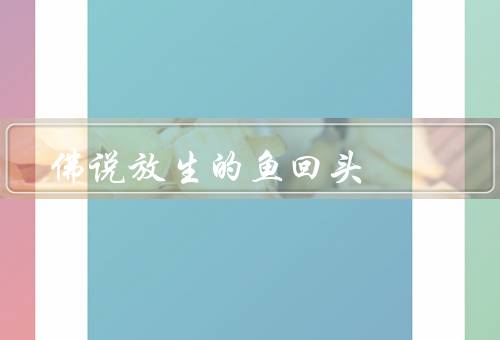 佛说放生的鱼回头，意义、鱼回头、启示