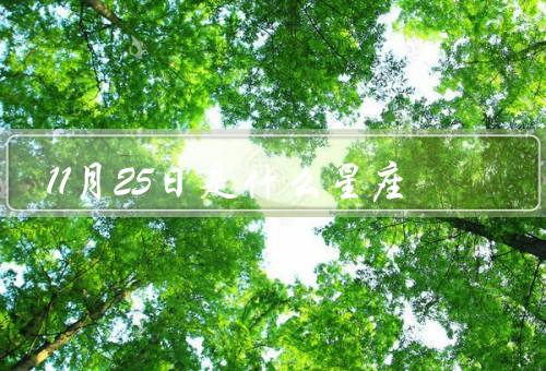 11月25日是什么星座（特点、爱情观、职业选择）
