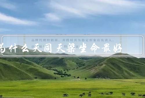 为什么天同天梁坐命最好，保证了人生的稳定与顺利