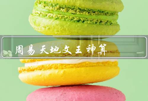 周易天地文王神算（应用／价值）