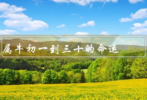 属牛初一到三十的命运，初一／初二／初三