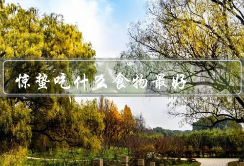 惊蛰吃什么食物最好（姜、菠菜、鱼）