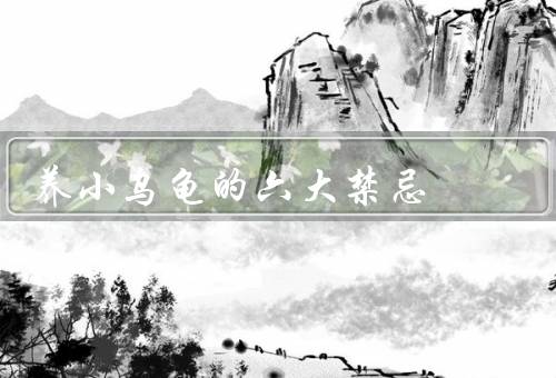 养小乌龟的六大禁忌（饲养环境不合适、喂食不当、缺乏日光照射）