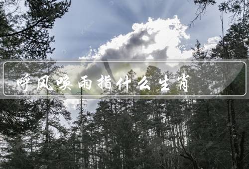 呼风唤雨指什么生肖，属鼠的人是否具备呼风唤雨的能力