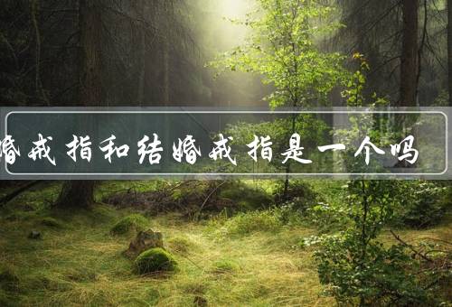 订婚戒指和结婚戒指是一个吗，结婚戒指、和结婚戒指的区别