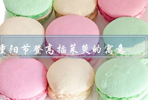 重阳节登高插茱萸的寓意，登高／插茱萸／重阳节的庆祝