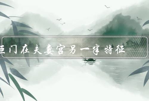 巨门在夫妻宫另一半特征，家庭重视／事业追求／坚持原则