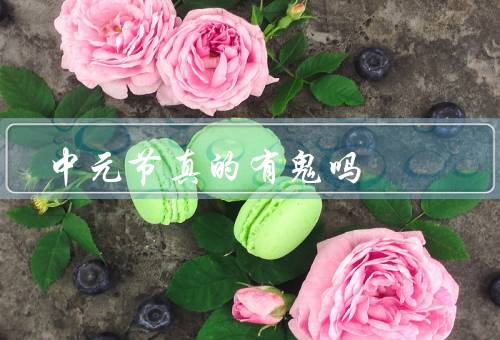 中元节真的有鬼吗，由来／鬼魂是否真的存在？／意义