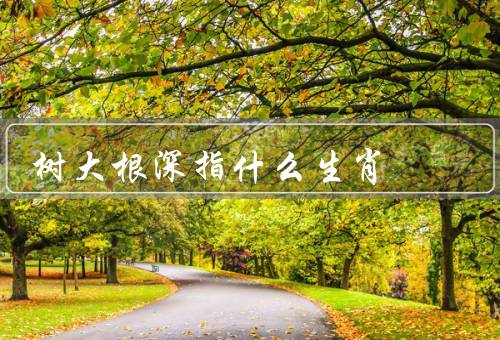 树大根深指什么生肖，树大根深、坚韧的品质、强大的内心