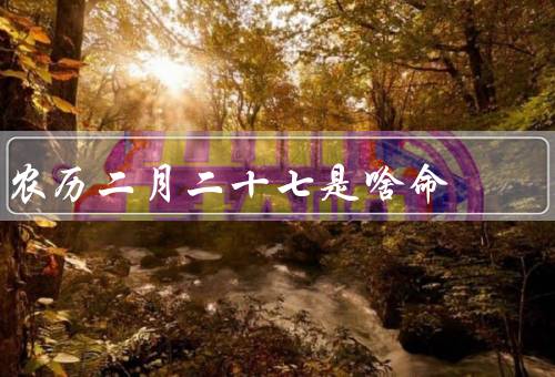 农历二月二十七是啥命，命运多舛、机遇与财运、坚韧和乐观