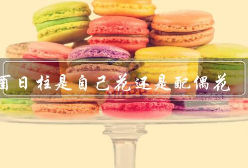 辛酉日柱是自己花还是配偶花（个性和命运、婚姻和家庭、结论）