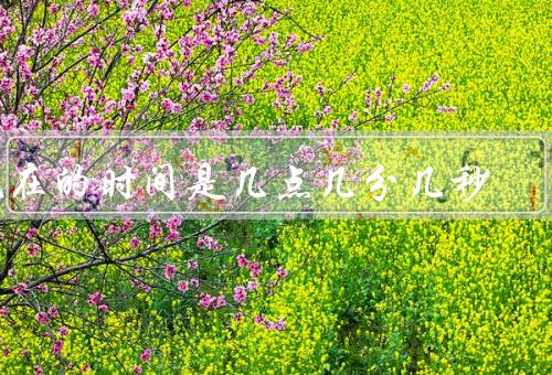 现在的时间是几点几分几秒，重要性／测量方式／管理