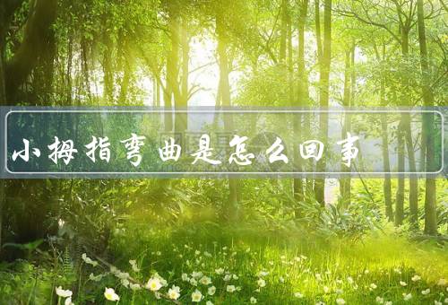 小拇指弯曲是怎么回事，结构／肌肉的作用／弯曲的作用