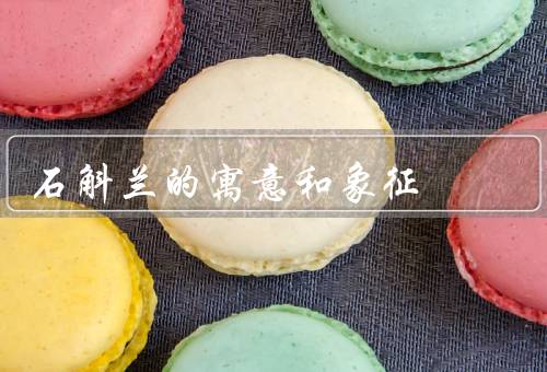 石斛兰的寓意和象征，坚韧不拔／生命的希望／追求和奋斗