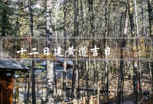 十二日建黄道吉日（起源／特点／应用）