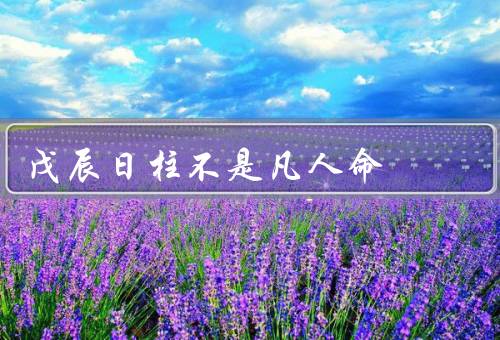 戊辰日柱不是凡人命（天赋异禀／多才多艺／追求卓越）