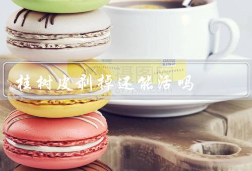 桂树皮剥掉还能活吗（特点／生长方式／桂树皮被剥掉后影响）