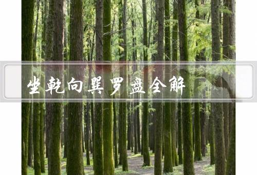 坐乾向巽风水罗盘全解，坐乾向巽、用途和意义、使用方法