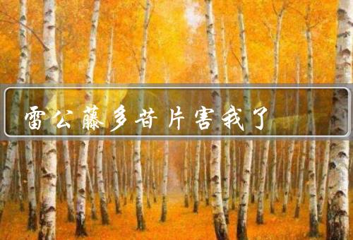 雷公藤多苷片害我了（引发皮肤过敏／肝脏造成损害／胃肠道造成刺激）