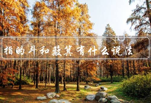手指的斗和簸箕有什么说法，构造和功能／斗的起源和玩法