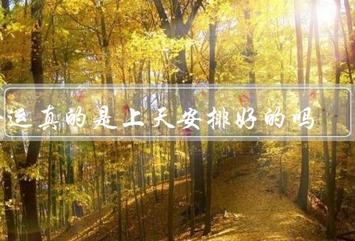 命运真的是上天安排好的吗（安排／改变／与努力）