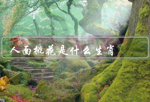 人面桃花是什么生肖，意义／起源／使用