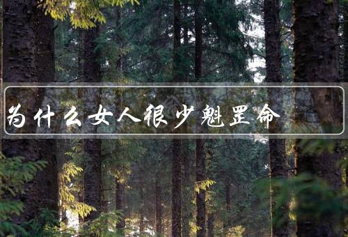 为什么女人很少魁罡命，制度／文化传统／性别偏见