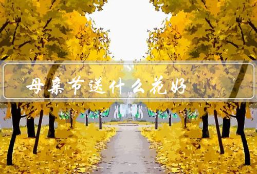母亲节送什么花好，百合／和百合的混搭