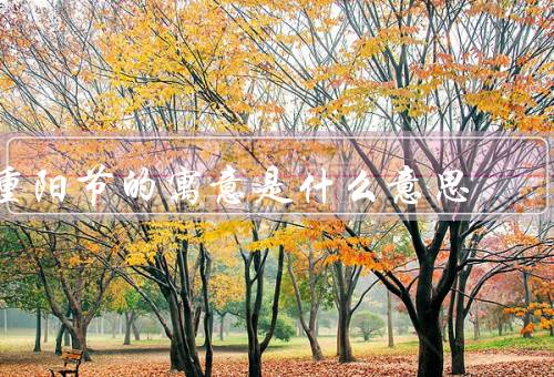 重阳节的寓意是什么意思（起源／寓意／意义）